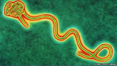 BAYELSA WORKING HARD TO CHECK EBOLA – HEALTH COMMISSIONER