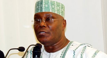 Opinion: Atiku, the Twinkle Star in the Sky