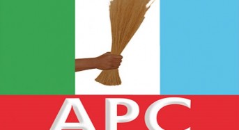 APC Sweeps Lagos Council Seats