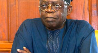 PDP BoT Chair Denies Merger Talks with Tinubu, Atiku