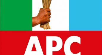 Osun West Senatorial Bye-Election: Why APC Lost