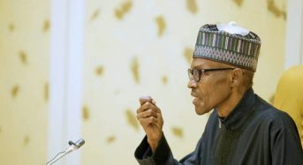 FEC Put Off: Buhari Receives Report on SGF, DG NIA