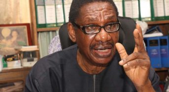 Prof. Itse Sagay Replies APC Leadership